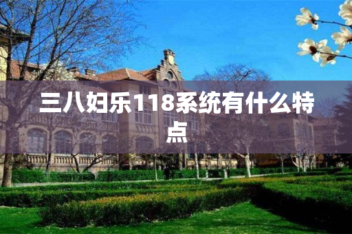 三八妇乐118系统有什么特点