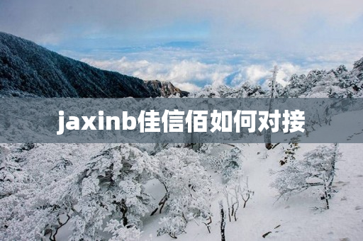 jaxinb佳信佰如何对接