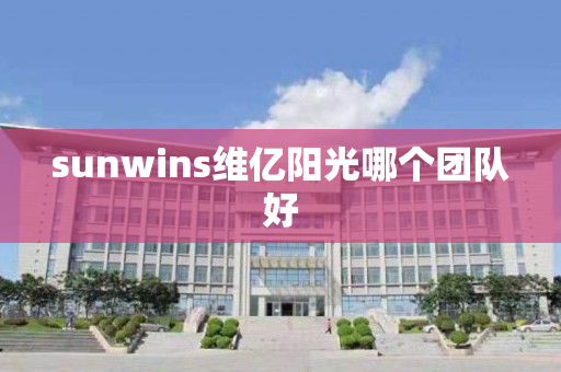 sunwins维亿阳光哪个团队好