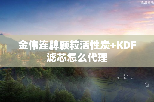 金伟连牌颗粒活性炭+KDF滤芯怎么代理