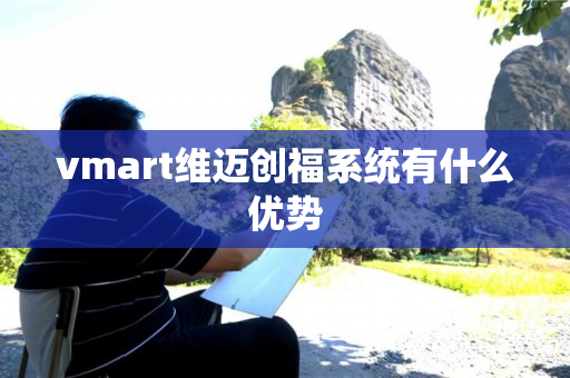 vmart维迈创福系统有什么优势