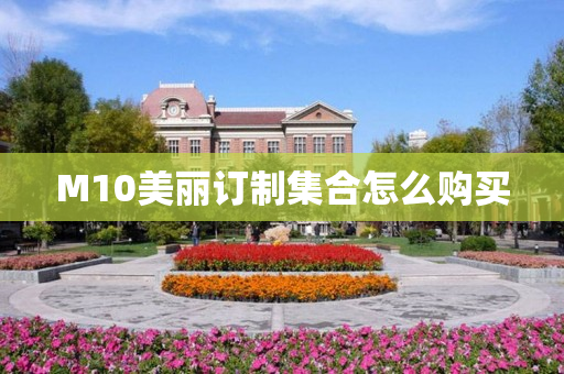 M10美丽订制集合怎么购买