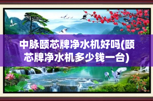 中脉颐芯牌净水机好吗(颐芯牌净水机多少钱一台)