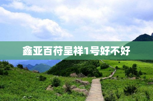 鑫亚百苻呈祥1号好不好