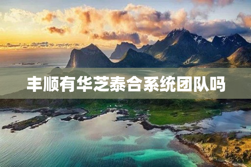 丰顺有华芝泰合系统团队吗