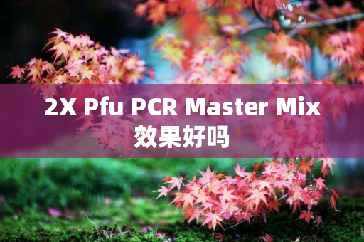 2X Pfu PCR Master Mix效果好吗