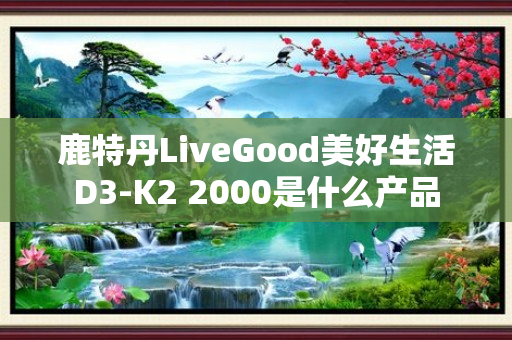 鹿特丹LiveGood美好生活D3-K2 2000是什么产品