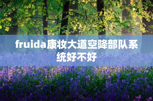 fruida康妆大道空降部队系统好不好