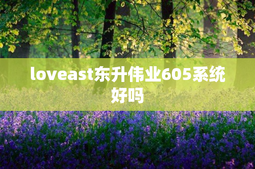 loveast东升伟业605系统好吗
