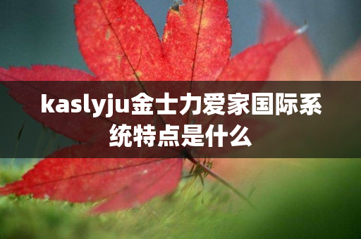 kaslyju金士力爱家国际系统特点是什么