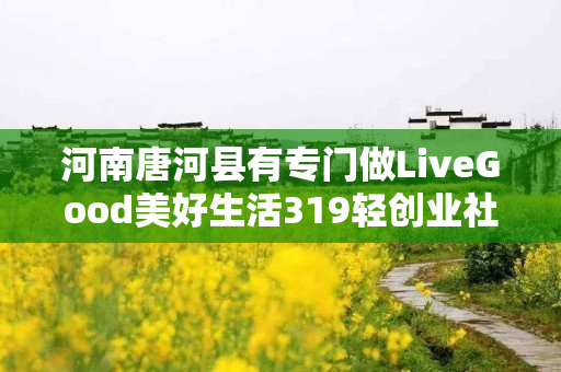河南唐河县有专门做LiveGood美好生活319轻创业社群的伙伴吗