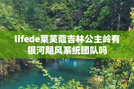 lifede莱芙蔻吉林公主岭有银河飓风系统团队吗