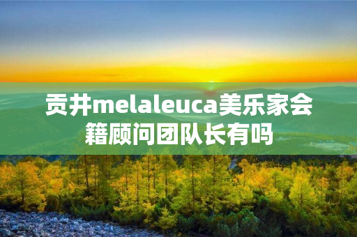 贡井melaleuca美乐家会籍顾问团队长有吗
