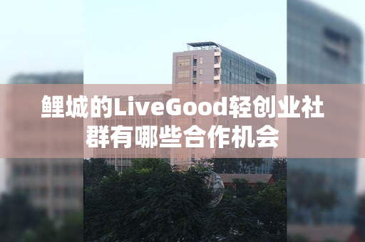鲤城的LiveGood轻创业社群有哪些合作机会