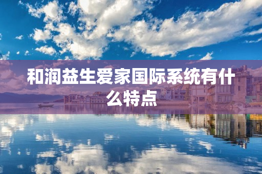和润益生爱家国际系统有什么特点