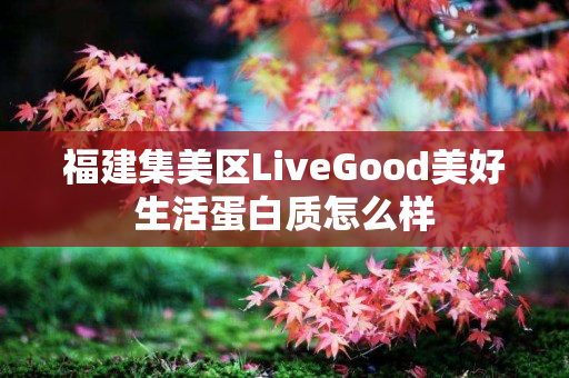 福建集美区LiveGood美好生活蛋白质怎么样