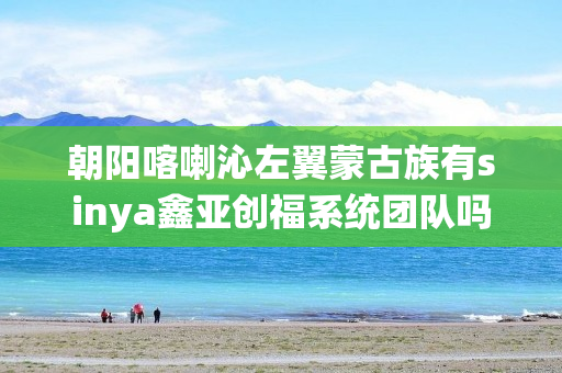 朝阳喀喇沁左翼蒙古族有sinya鑫亚创福系统团队吗
