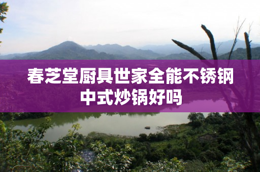 春芝堂厨具世家全能不锈钢中式炒锅好吗