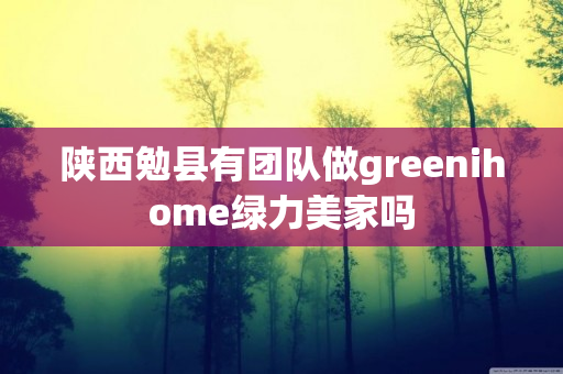 陕西勉县有团队做greenihome绿力美家吗