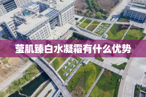 莹肌臻白水凝霜有什么优势