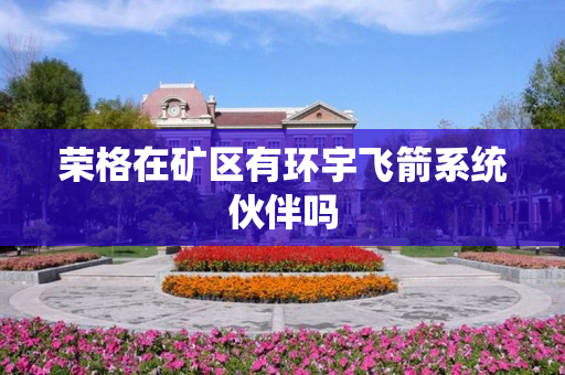 荣格在矿区有环宇飞箭系统伙伴吗