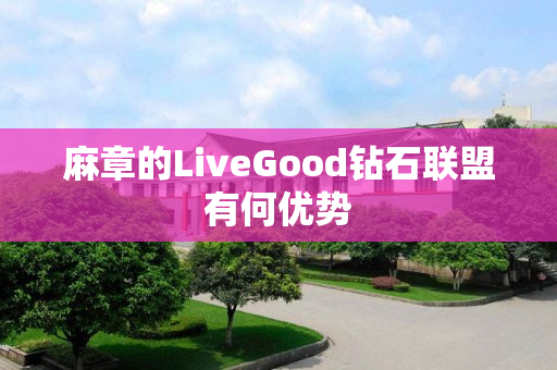 麻章的LiveGood钻石联盟有何优势