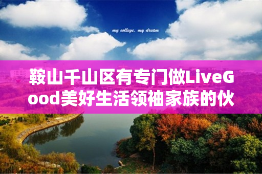鞍山千山区有专门做LiveGood美好生活领袖家族的伙伴吗