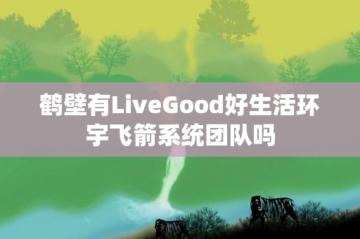 鹤壁有LiveGood好生活环宇飞箭系统团队吗