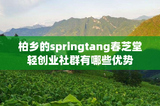 柏乡的springtang春芝堂轻创业社群有哪些优势