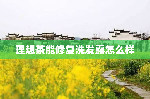 理想茶能修复洗发露怎么样