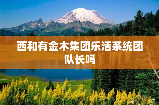 西和有金木集团乐活系统团队长吗