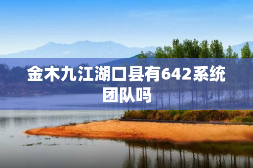 金木九江湖口县有642系统团队吗