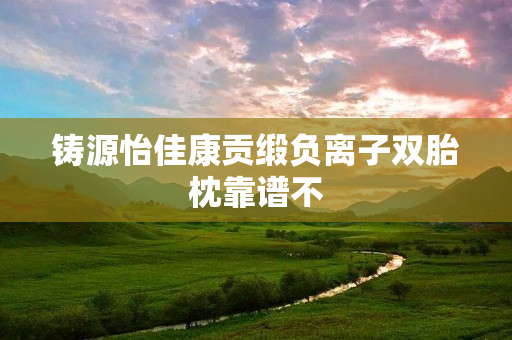 铸源怡佳康贡缎负离子双胎枕靠谱不