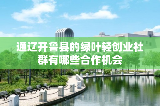 通辽开鲁县的绿叶轻创业社群有哪些合作机会