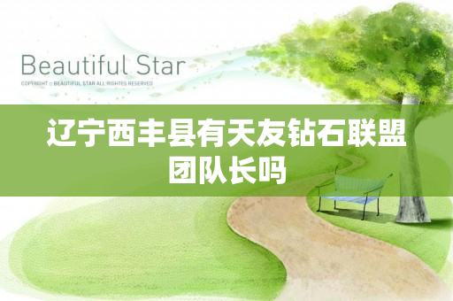辽宁西丰县有天友钻石联盟团队长吗