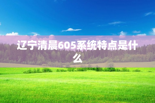 辽宁清晨605系统特点是什么