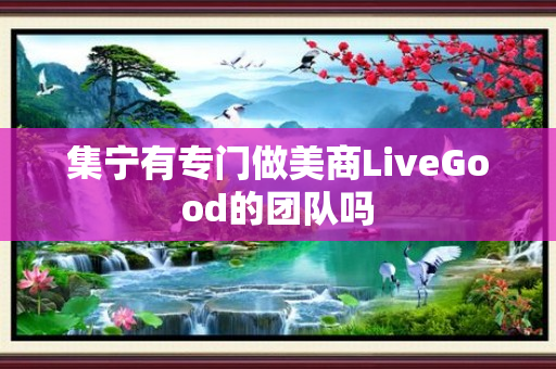 集宁有专门做美商LiveGood的团队吗