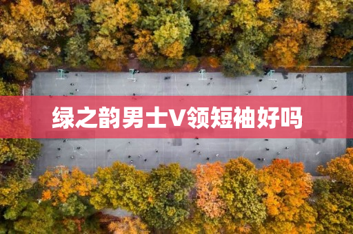 绿之韵男士V领短袖好吗