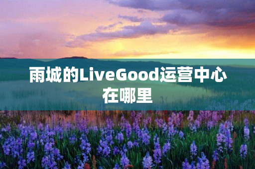 雨城的LiveGood运营中心在哪里