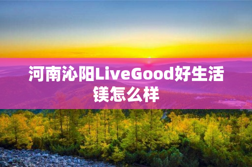 河南沁阳LiveGood好生活镁怎么样