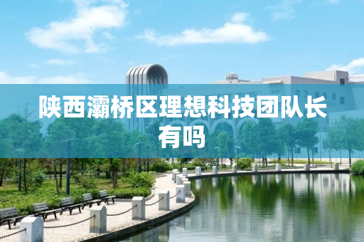 陕西灞桥区理想科技团队长有吗