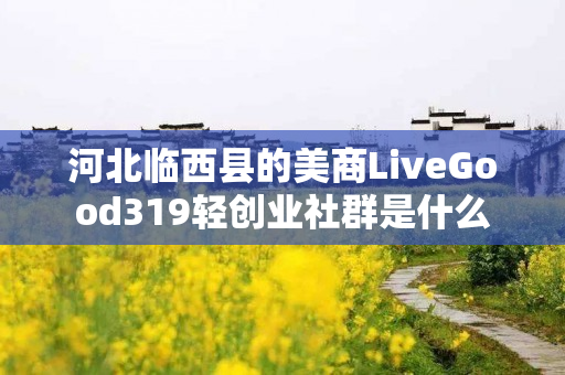 河北临西县的美商LiveGood319轻创业社群是什么