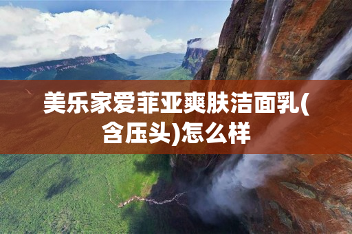 美乐家爱菲亚爽肤洁面乳(含压头)怎么样