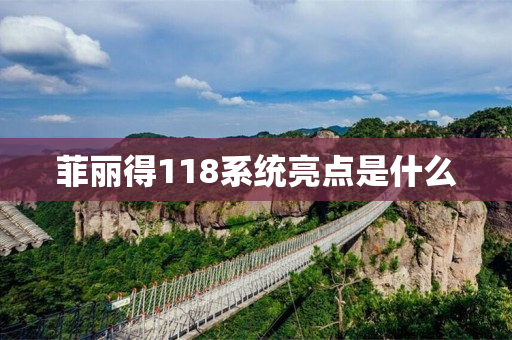 菲丽得118系统亮点是什么