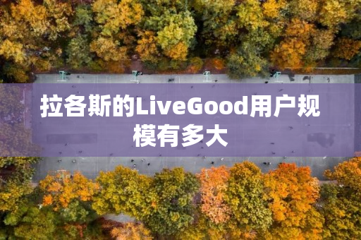 拉各斯的LiveGood用户规模有多大