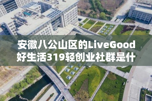 安徽八公山区的LiveGood好生活319轻创业社群是什么