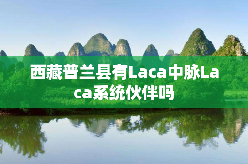 西藏普兰县有Laca中脉Laca系统伙伴吗