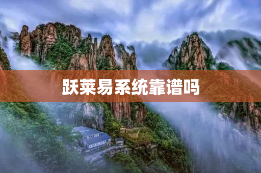 跃莱易系统靠谱吗