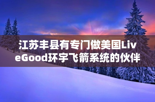 江苏丰县有专门做美国LiveGood环宇飞箭系统的伙伴吗