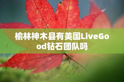 榆林神木县有美国LiveGood钻石团队吗